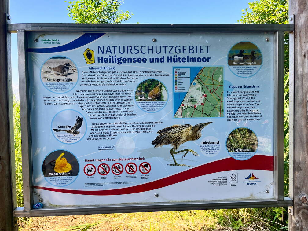 24-06-29 11-01-36 0006